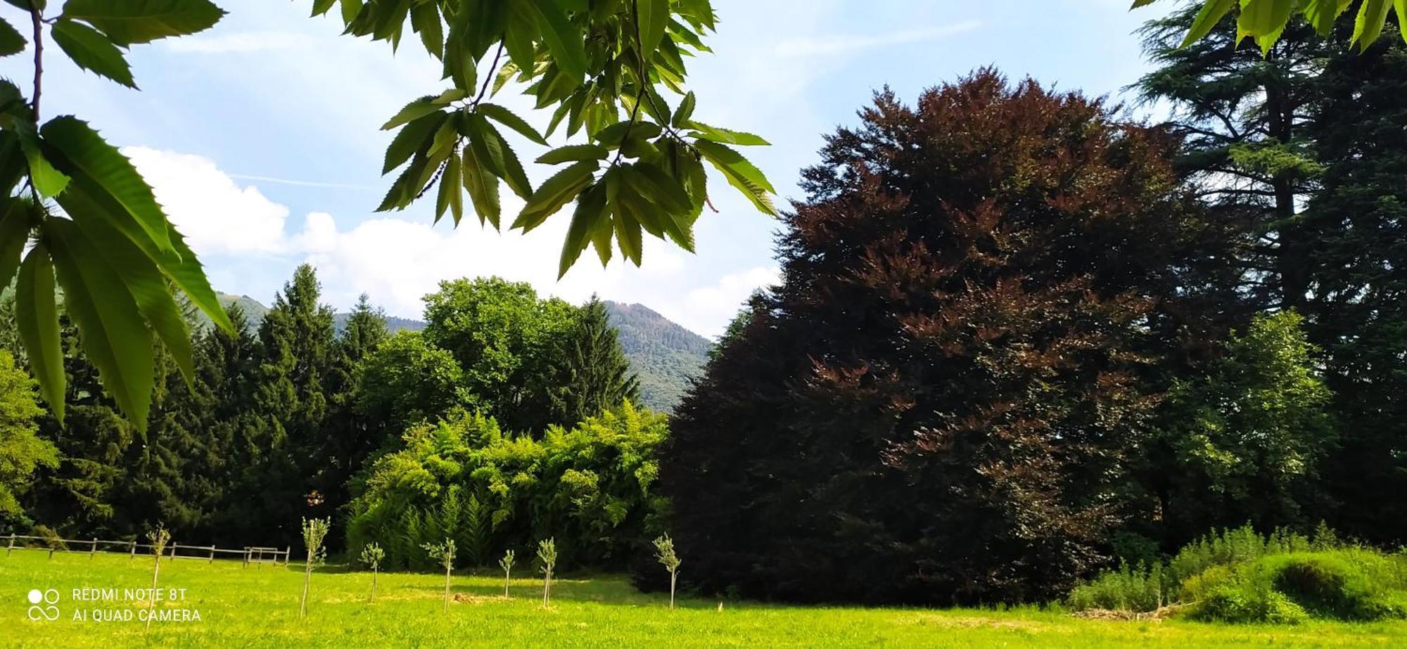 Casale Del Cantico Brenta Dış mekan fotoğraf
